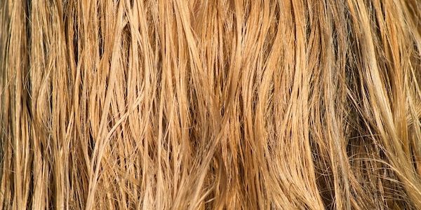 Naturkosmetik – Die 5 Pflegetipps für sonnengeschädigtes Haar- so bleibt es gesund, glänzend und geschmeidig