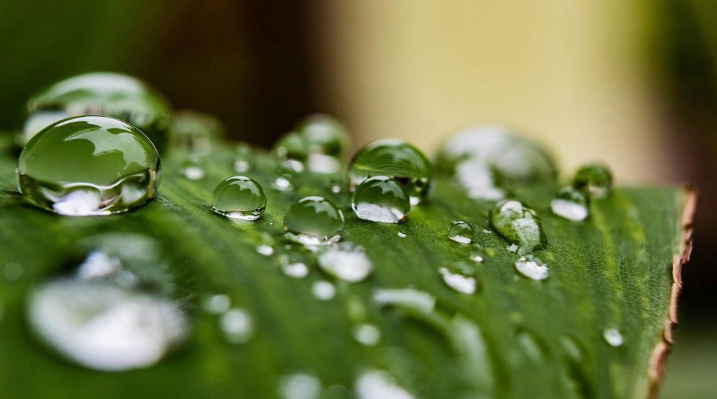 Clean Skincare: Reizarme Pflege für gesunde Haut