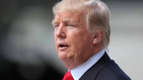 Grüne fordern mehr Selbstbewusstsein gegenüber Trump