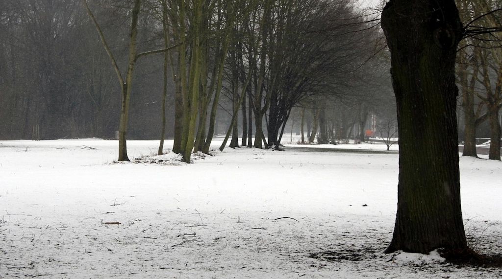 Wetterbericht für Bayern (16.02.2026)