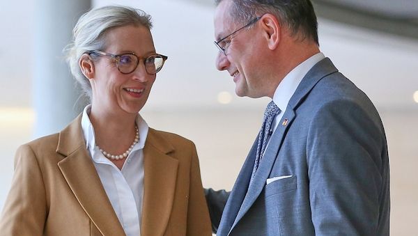 Forsa: AfD holt zu Union auf - Grüne und Linke verlieren
