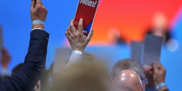 Bericht: AfD-Mitglieder fordern Sonderparteitag in Sachsen-Anhalt