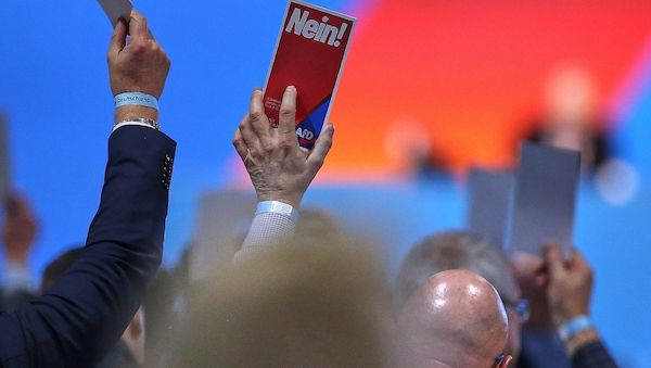 Bericht: AfD-Mitglieder fordern Sonderparteitag in Sachsen-Anhalt