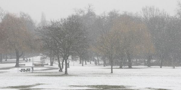 Wetterbericht für Baden-Württemberg (18.02.2026)