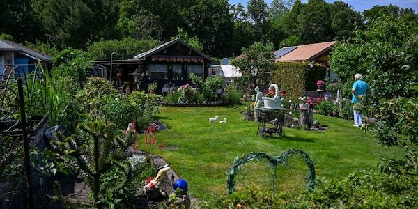 Zehntausende Berliner Kleingärten sollen dauerhaft erhalten bleiben