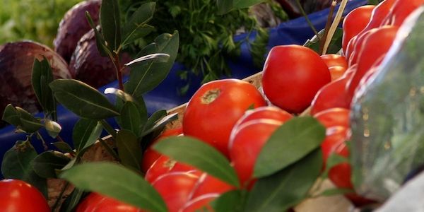 Gemüseernte in NRW deutlich gestiegen