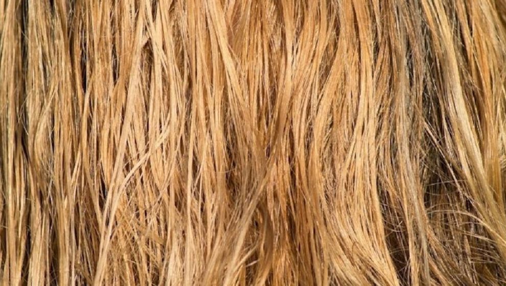 Institut für Naturkosmetik: Warum Sonne, Salz und Chlor das Haar schädigen