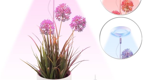 Optimales Pflanzenlicht für jede Wachstumsphase – flexibel, dimmbar & höhenverstellbar