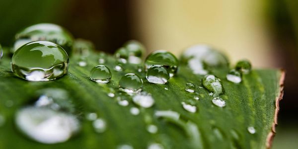 Clean Skincare: Reizarme Pflege für gesunde Haut