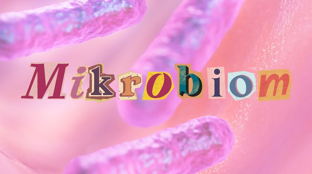 So schaden wir täglich unserem Immunsystem