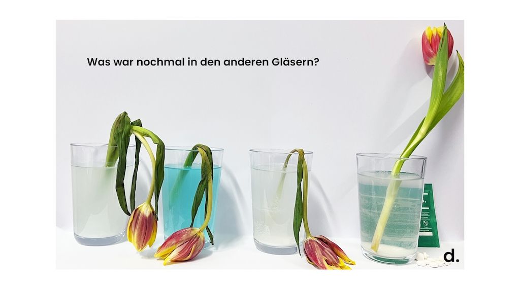 Ist Zahnpflege immer unbedenklich? Ein einfaches Experiment mit krasser Erkenntnis! 