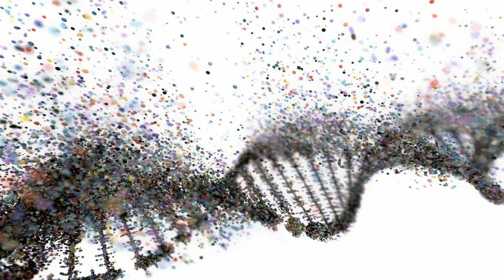 Genetische Veranlagung für Lipödem?