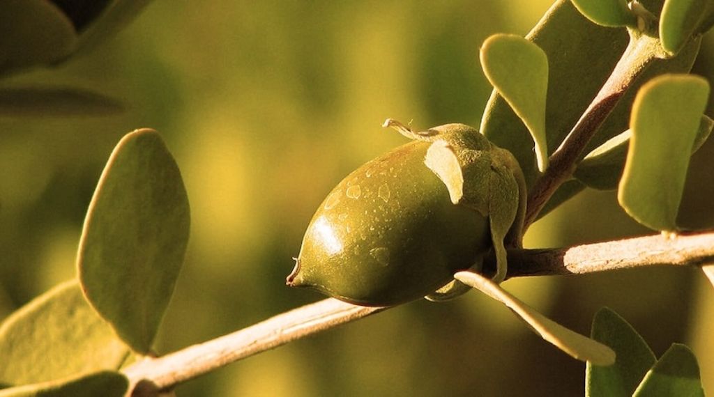 Myrto Naturkosmetik – Bio Jojoba Gesichtspflege für empfindliche Haut