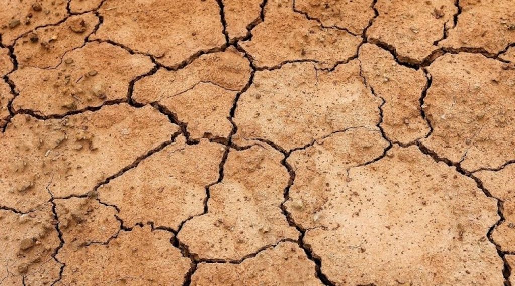 Myrto Naturkosmetik - Was hilft bei Schuppenflechte oder Psoriaris?