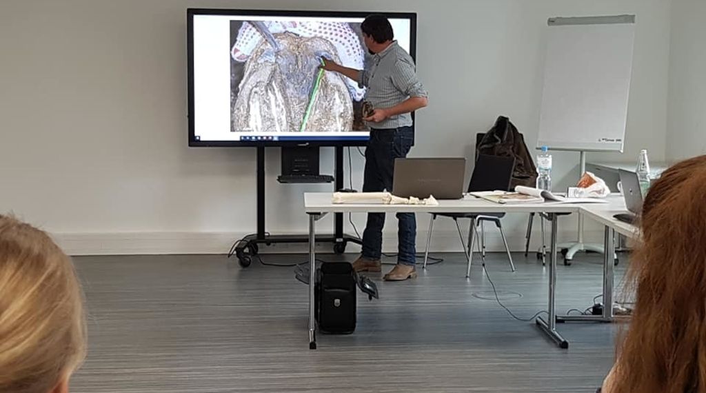 Huforthopädie Schule: Eine Ausbildung für Menschen, die Pferde lieben 