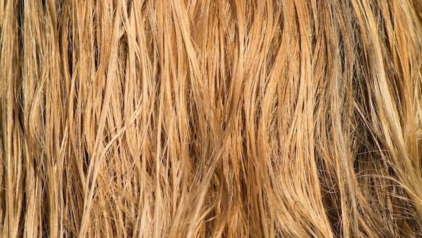 Naturkosmetik – Die 5 Pflegetipps für sonnengeschädigtes Haar- so bleibt es gesund, glänzend und geschmeidig