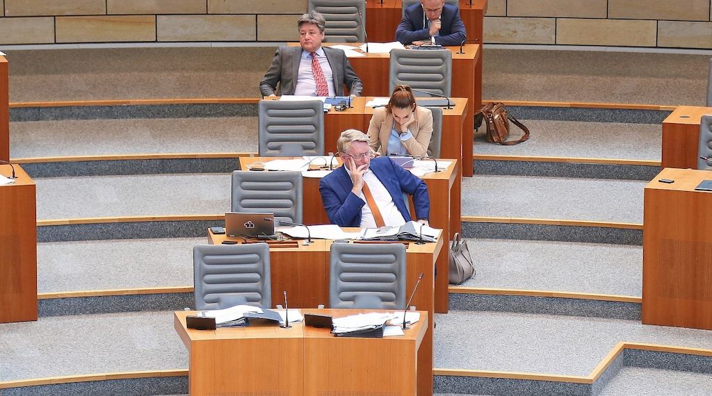 AfD-Landtagsabgeordnete beschäftigen besonders viele Mitarbeiter