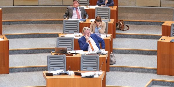 AfD-Landtagsabgeordnete beschäftigen besonders viele Mitarbeiter