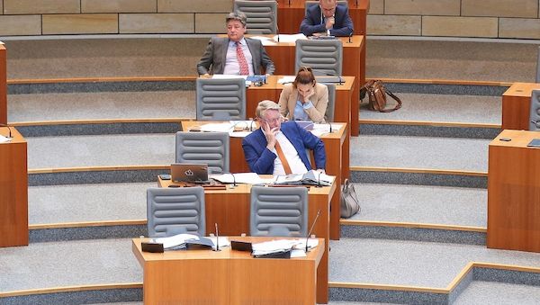 AfD-Landtagsabgeordnete beschäftigen besonders viele Mitarbeiter