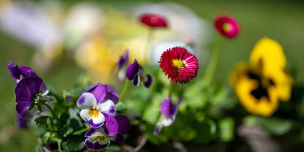 Berlin-Brandenburg: Der Frühling kommt aber auch die Heuschnupfen-Zeit
