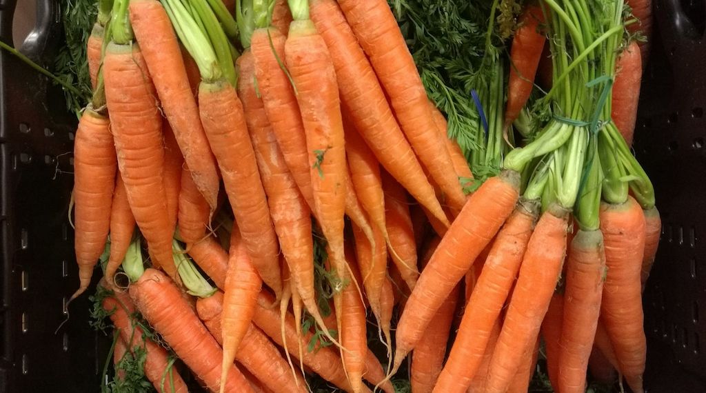 Gemüseernte steigt 2025 auf neuen Höchststand