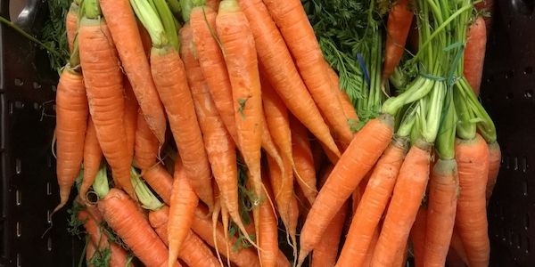 Gemüseernte steigt 2025 auf neuen Höchststand