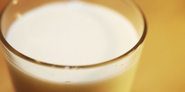 Milchbauern rufen Rainer zu Kampf gegen Preisverfall auf