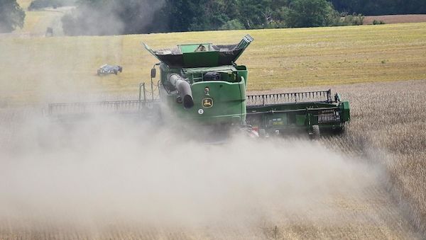 Brandenburgs Gemüseanbaufläche wächst wieder