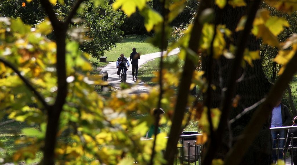 Wetterbericht für Baden-Württemberg (05.03.2026)