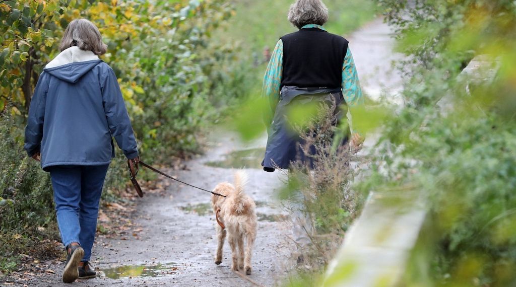 Wenn Frauen krank werden, leidet die ganze Gesellschaft