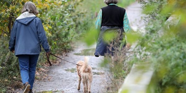 Wenn Frauen krank werden, leidet die ganze Gesellschaft