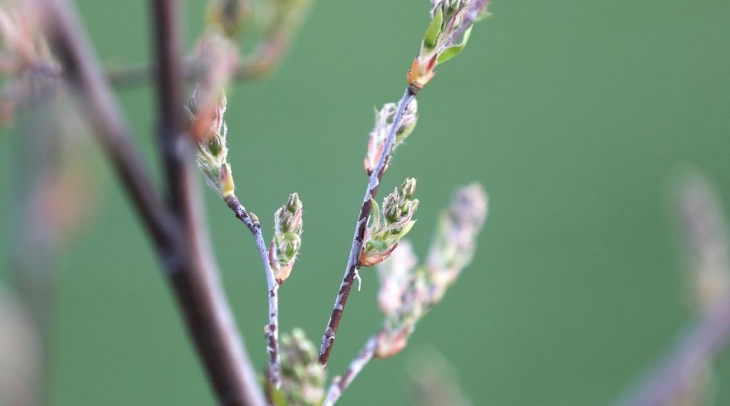 Wetterbericht für München/Bayern (08.03.2026)