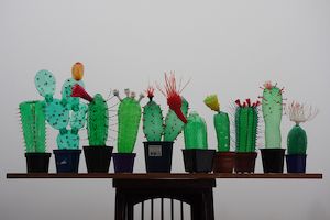 Ein Material in neuem Licht Plastikflaschen: Stoff für Kunst Bild 2