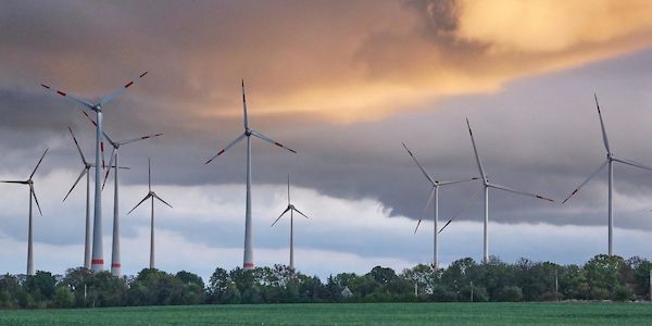 Wetterbericht für Niedersachsen/Bremen (12.03.2026)
