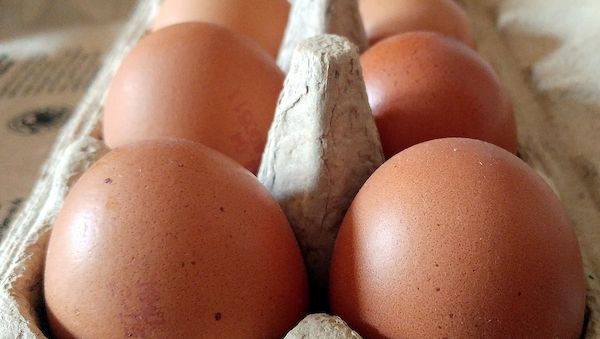 Geflügelwirtschaft sieht knappes Eier-Angebot zu Ostern