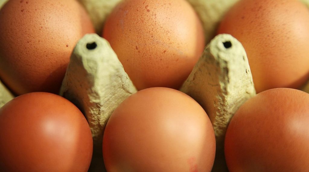 Eierproduktion 2025 leicht gestiegen