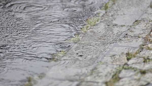 Wetterbericht für Schleswig-Holstein/Hamburg (14.03.2026)