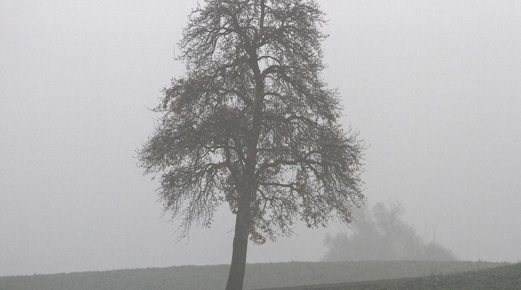 Wetterbericht für Niedersachsen/Bremen (15.03.2026)