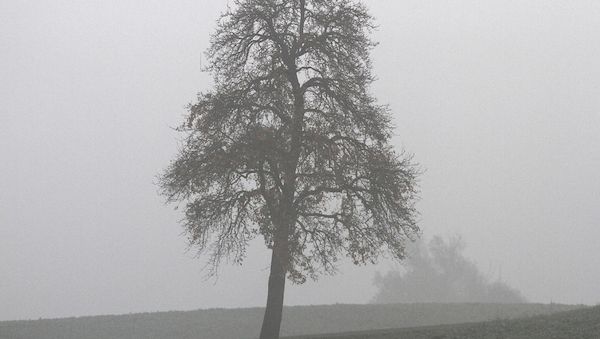 Wetterbericht für Niedersachsen/Bremen (15.03.2026)