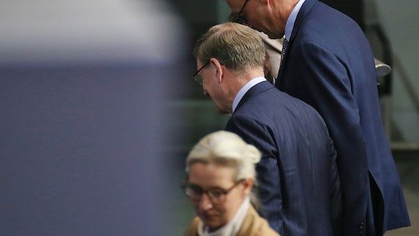 Forsa: Union baut Vorsprung auf AfD aus - Grüne vor SPD
