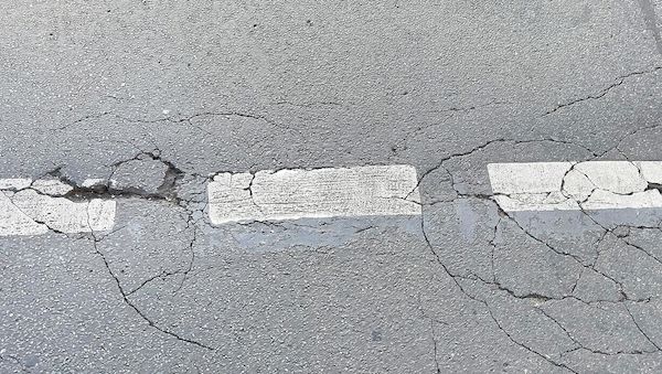 Hamburg und Bremen starten Wettbewerb zum Entsiegeln von Flächen