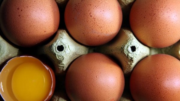 Eierpreise in NRW zu Ostern deutlich gestiegen