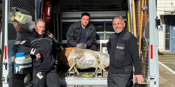 Weltkriegsbombe in Köln-Bilderstöckchen erfolgreich entschärft