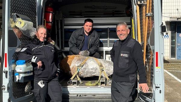 Weltkriegsbombe in Köln-Bilderstöckchen erfolgreich entschärft