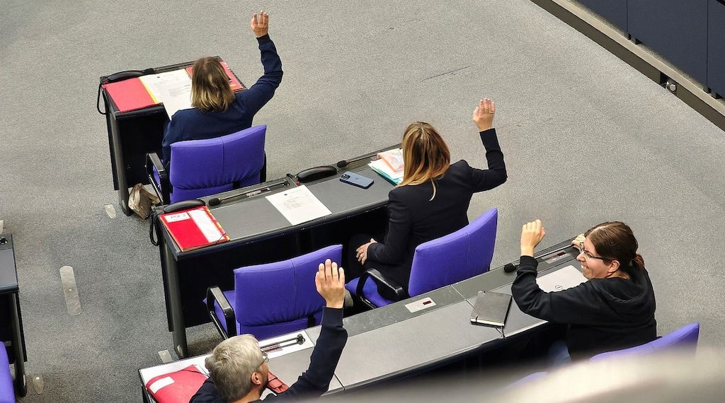 Strategiepapier: Linke will Regierungskurs "delegitimieren"