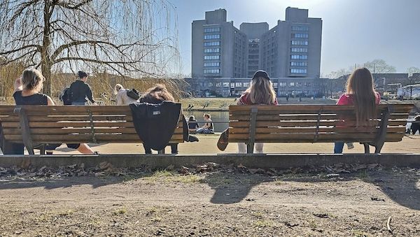 Wetterdienst: März war außergewöhnlich sonnig und niederschlagsarm