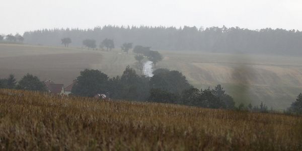 Wetterbericht für Berlin/Brandenburg (31.03.2026)