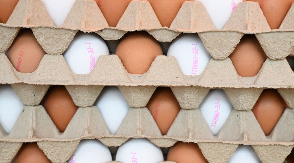 Knapp eine Milliarde Eier in Brandenburg produziert