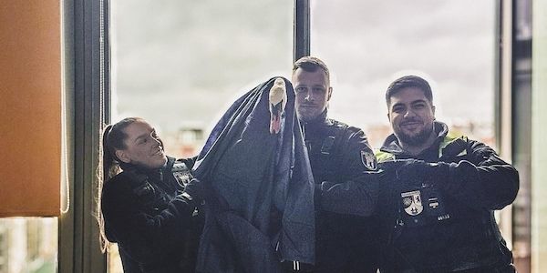 Polizisten retten Schwan von Balkon in Berlin