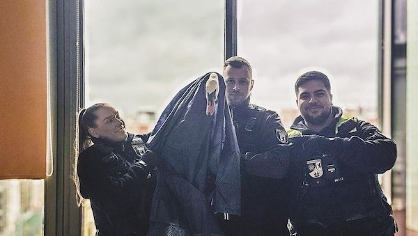 Polizisten retten Schwan von Balkon in Berlin